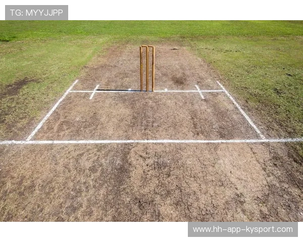 板球场地选择成为比赛战略因素之一