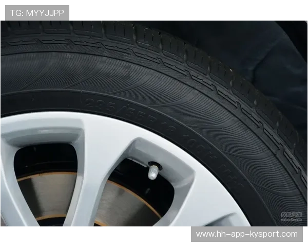 汉密尔顿强调轮胎管理策略